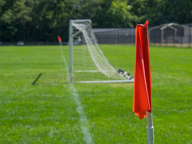 仔細觀察獨 仔細觀察獨