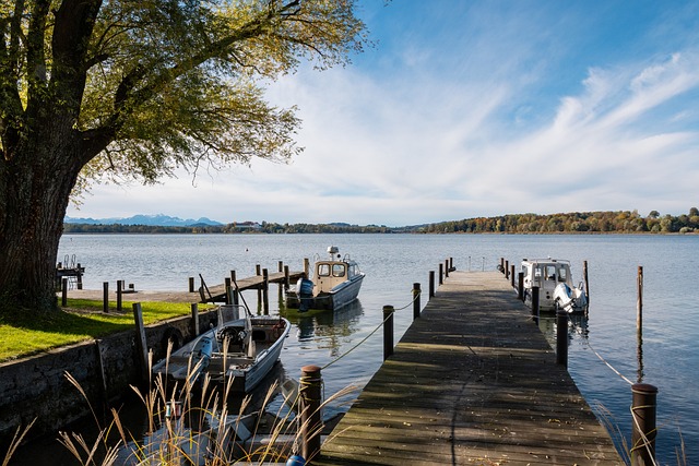 只靠王牌苦 只靠王牌苦