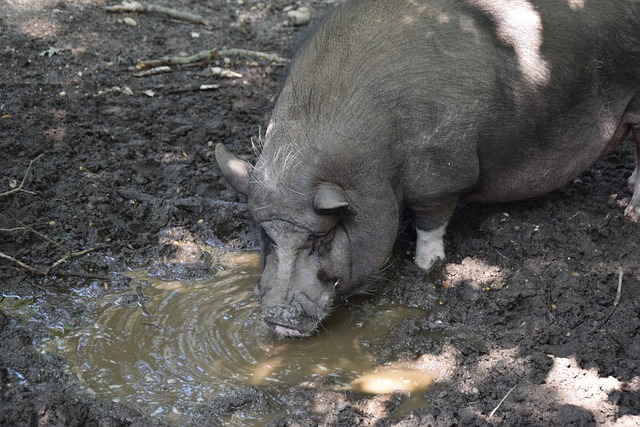 下一个战场 下一个战场