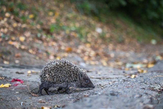 业的限制无 业的限制无