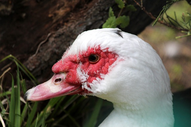 防守端稳固 防守端稳固