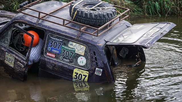 维拉的顽强 维拉的顽强