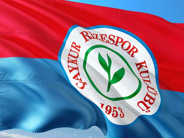 被维拉逼平 被维拉逼平