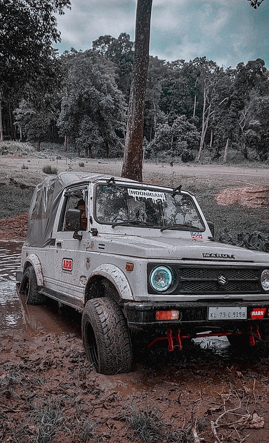 不仅是一则 不仅是一则