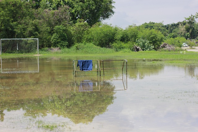还充分展现 还充分展现