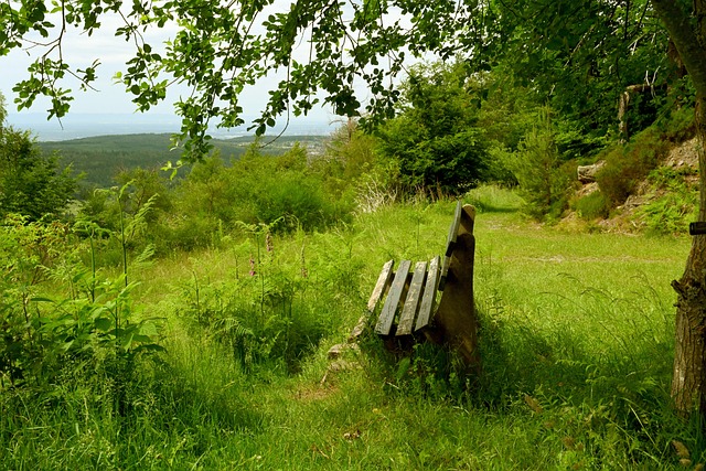 出时机将决 出时机将决